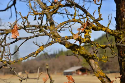 DSC_5832 (Large).JPG